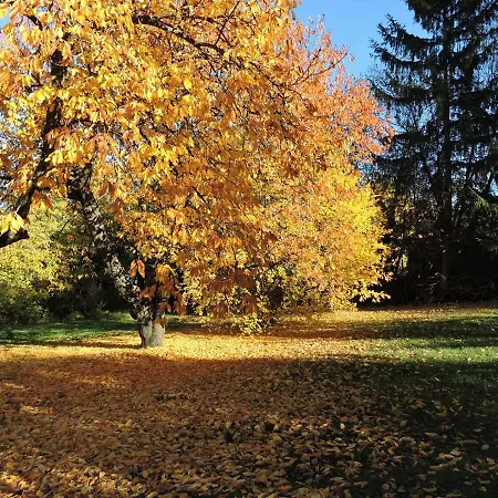 Le Petit Volcan B&B *