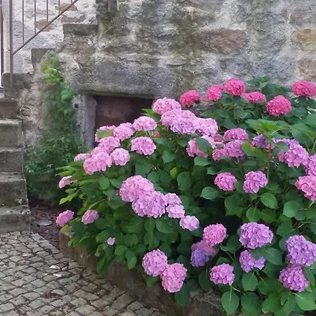 B&B Le Petit Volcan Montpeyroux (Puy-de-Dome)