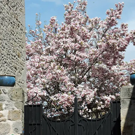 Le Petit Volcan Montpeyroux (Puy-de-Dome)